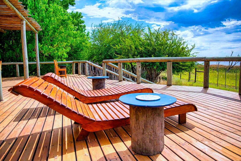 April2024-SemowiNatureCamp_Botswana-54-scaled