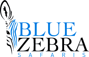 Blue Zebra Safaris Logo