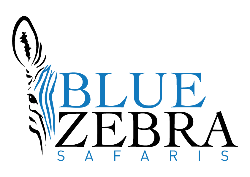 Blue Zebra Safari Logo Original