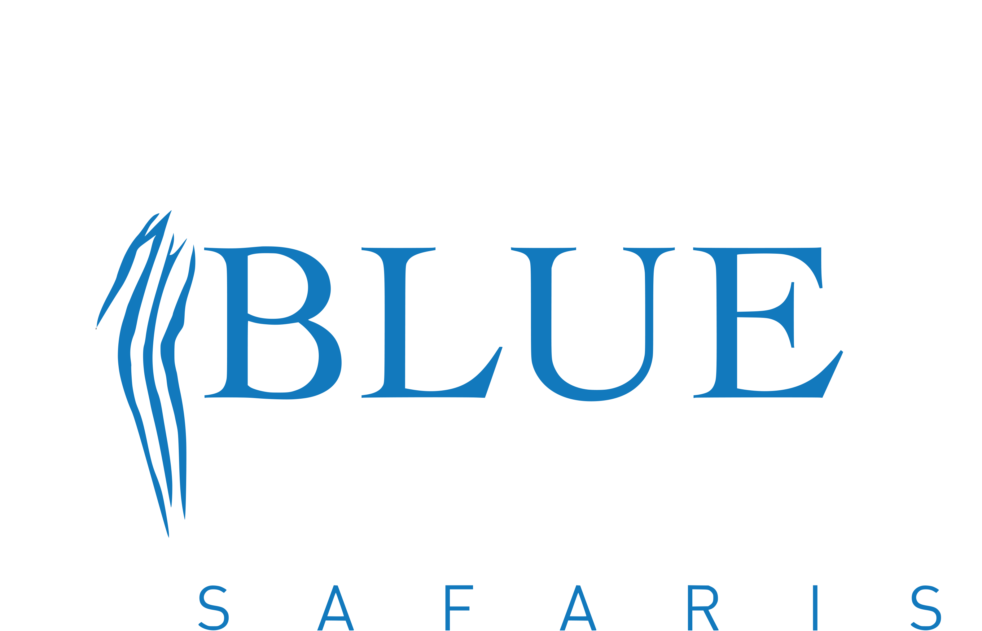 Blue Zebra Safaris