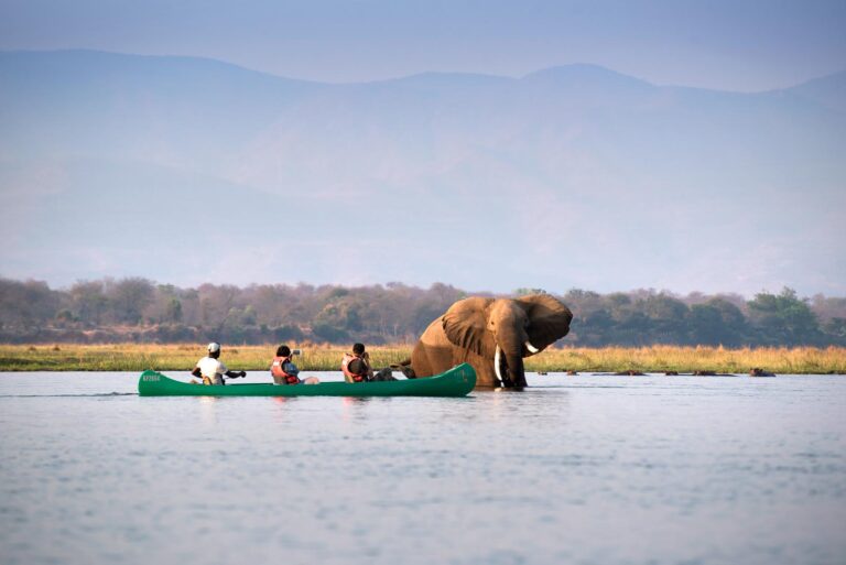 Destinations 7 Blue Zebra Safaris Maun