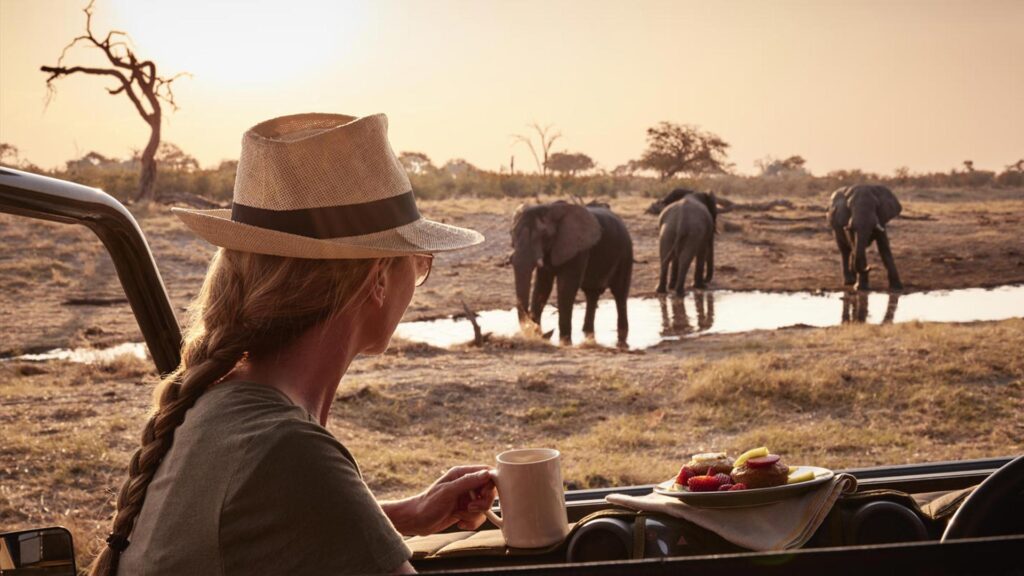 Blue Zebra Packages 6 Blue Zebra Safaris
